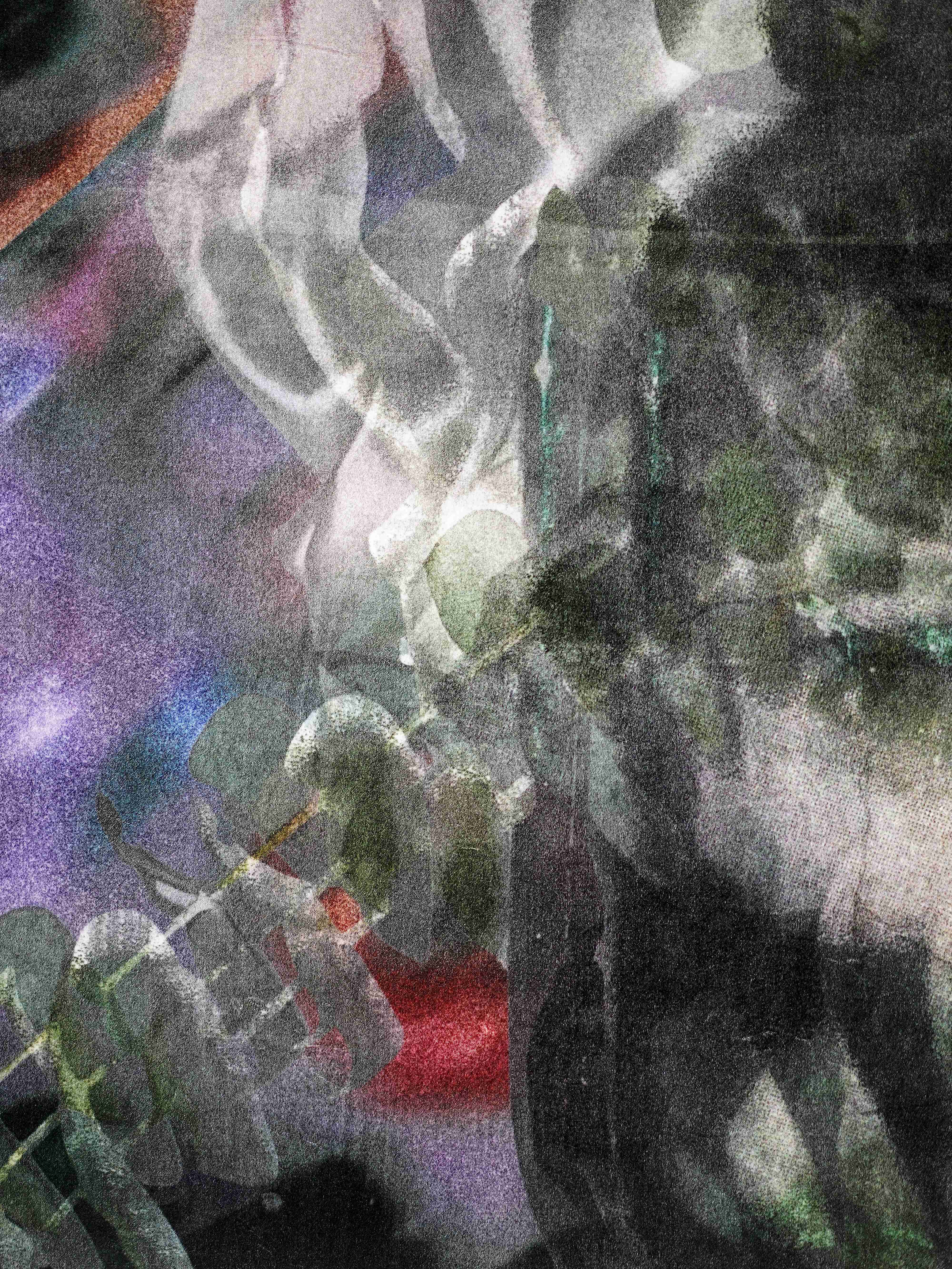 Anatomy of an Echo detail 2
